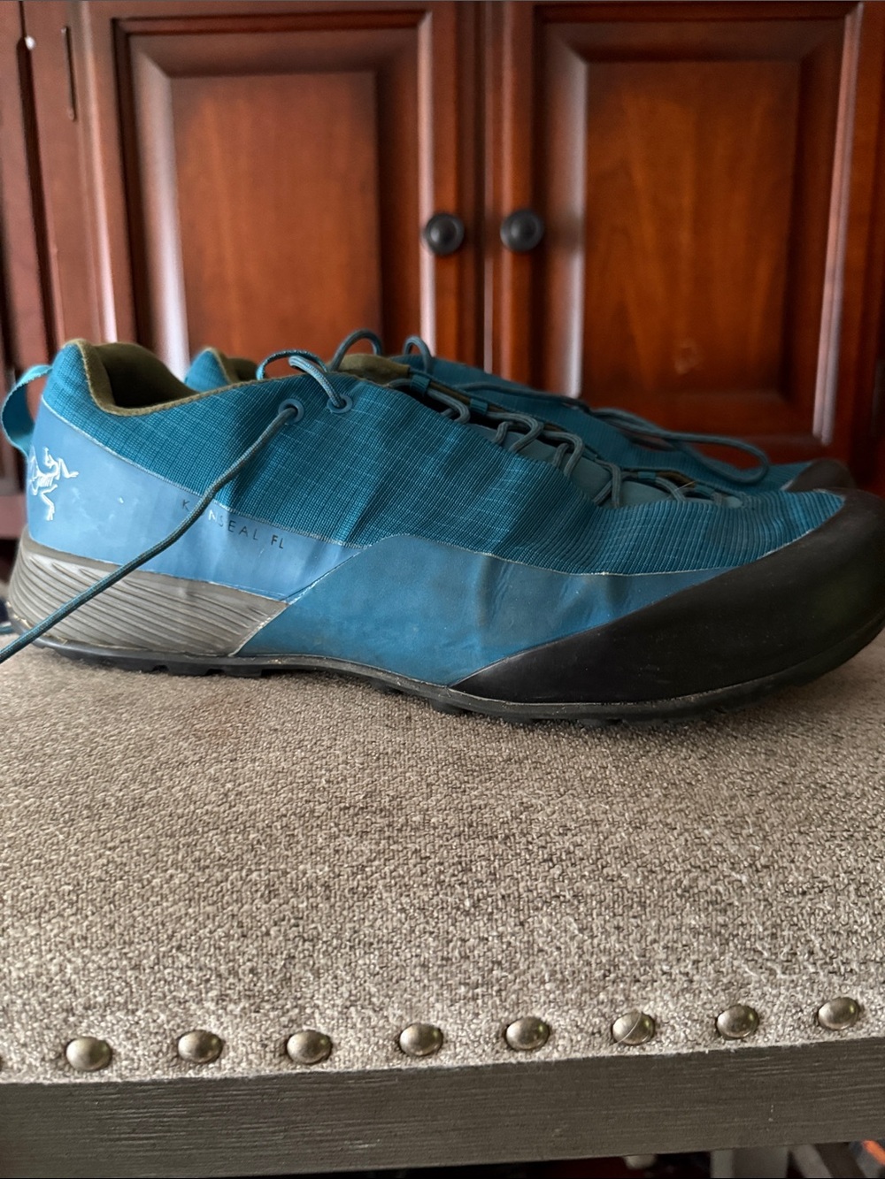Arc'teryx Men's Teal/Blue Low-Profile Approach Shoes